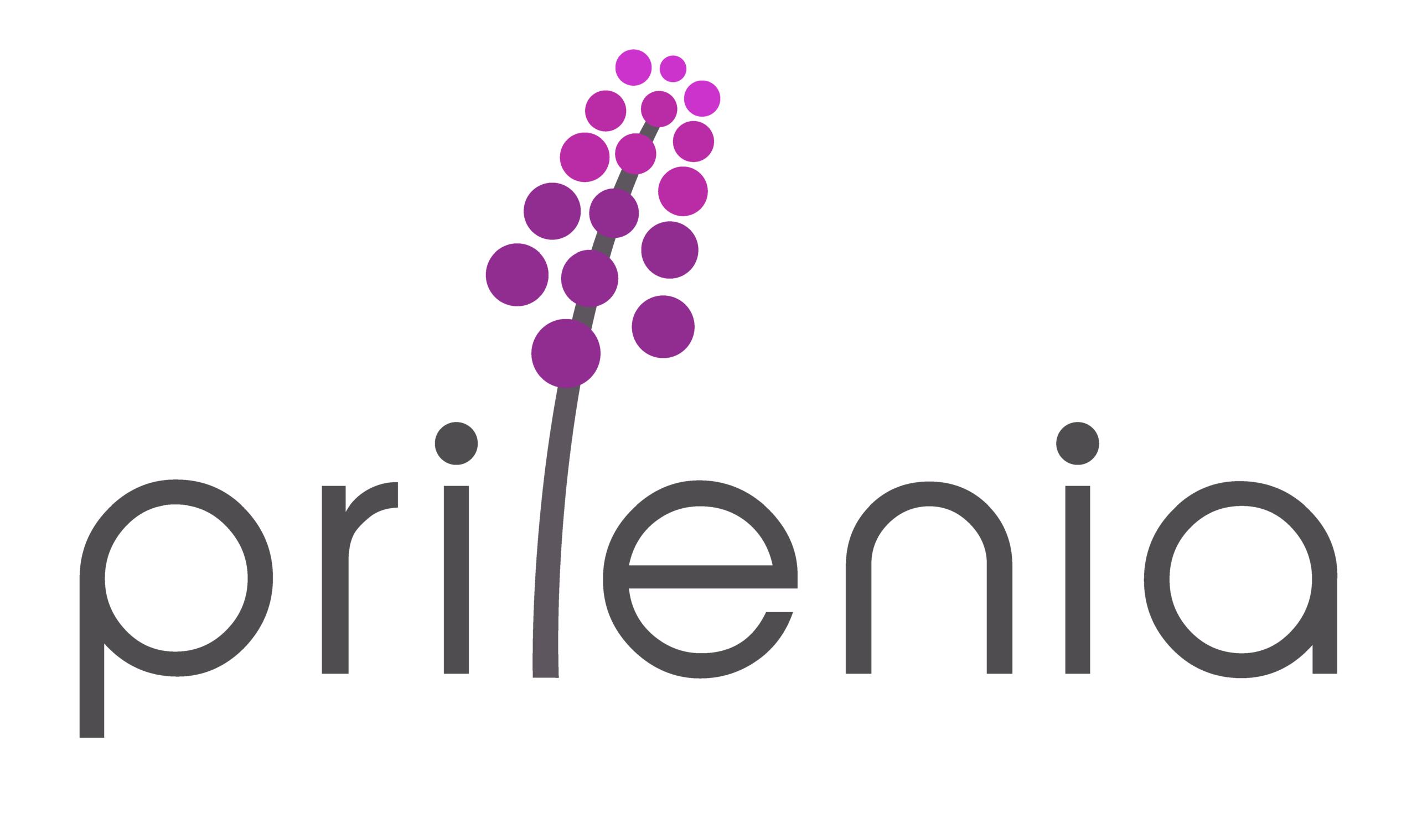 First bronze sponsor logo